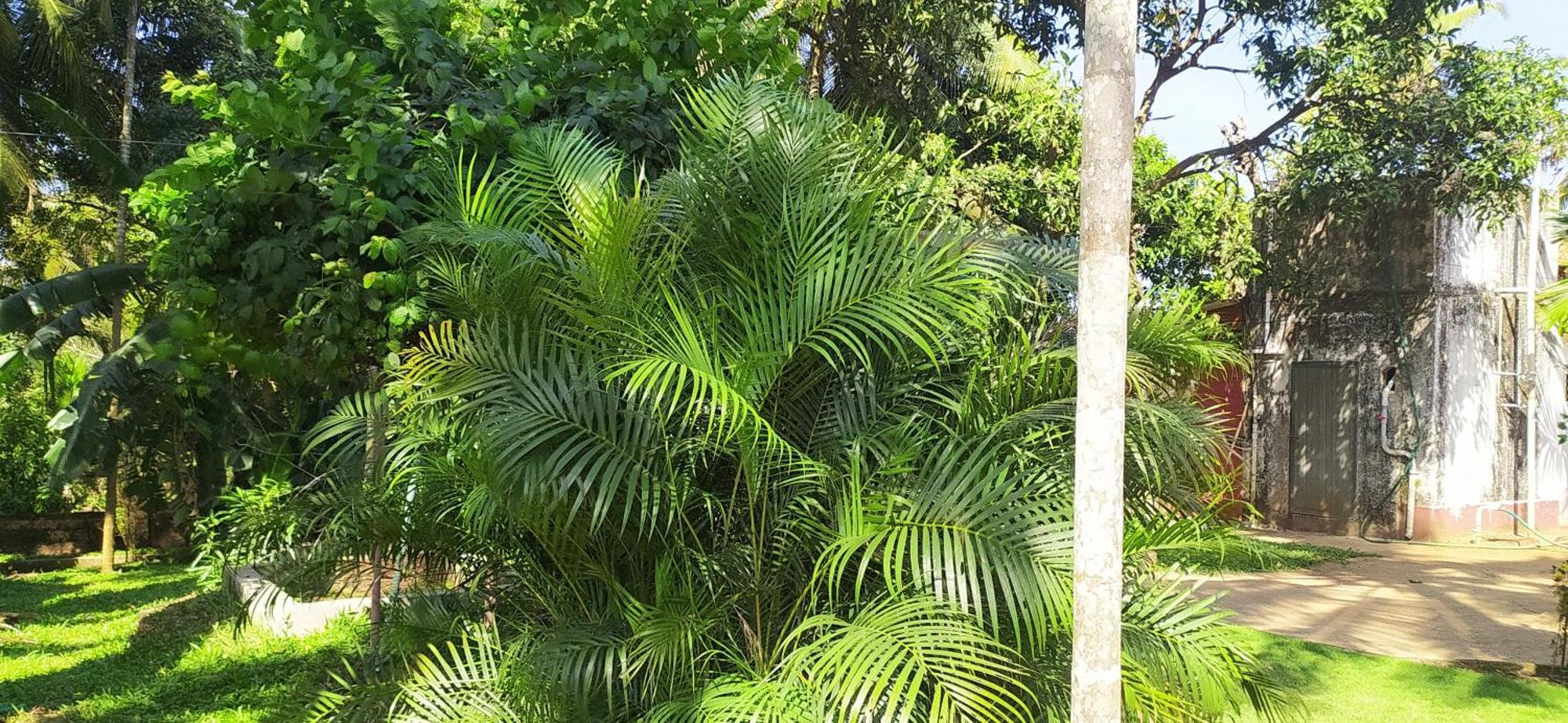 Runnin Airport - Homestay Gurpur المظهر الخارجي الصورة