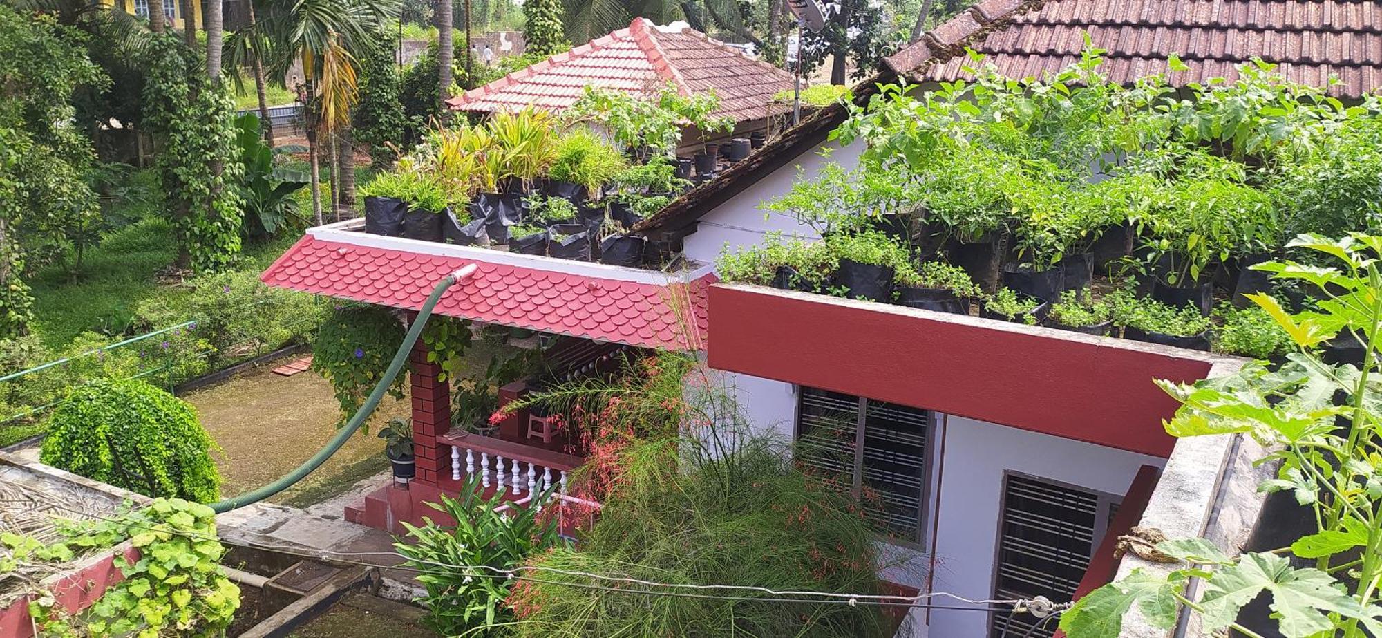 Runnin Airport - Homestay Gurpur المظهر الخارجي الصورة