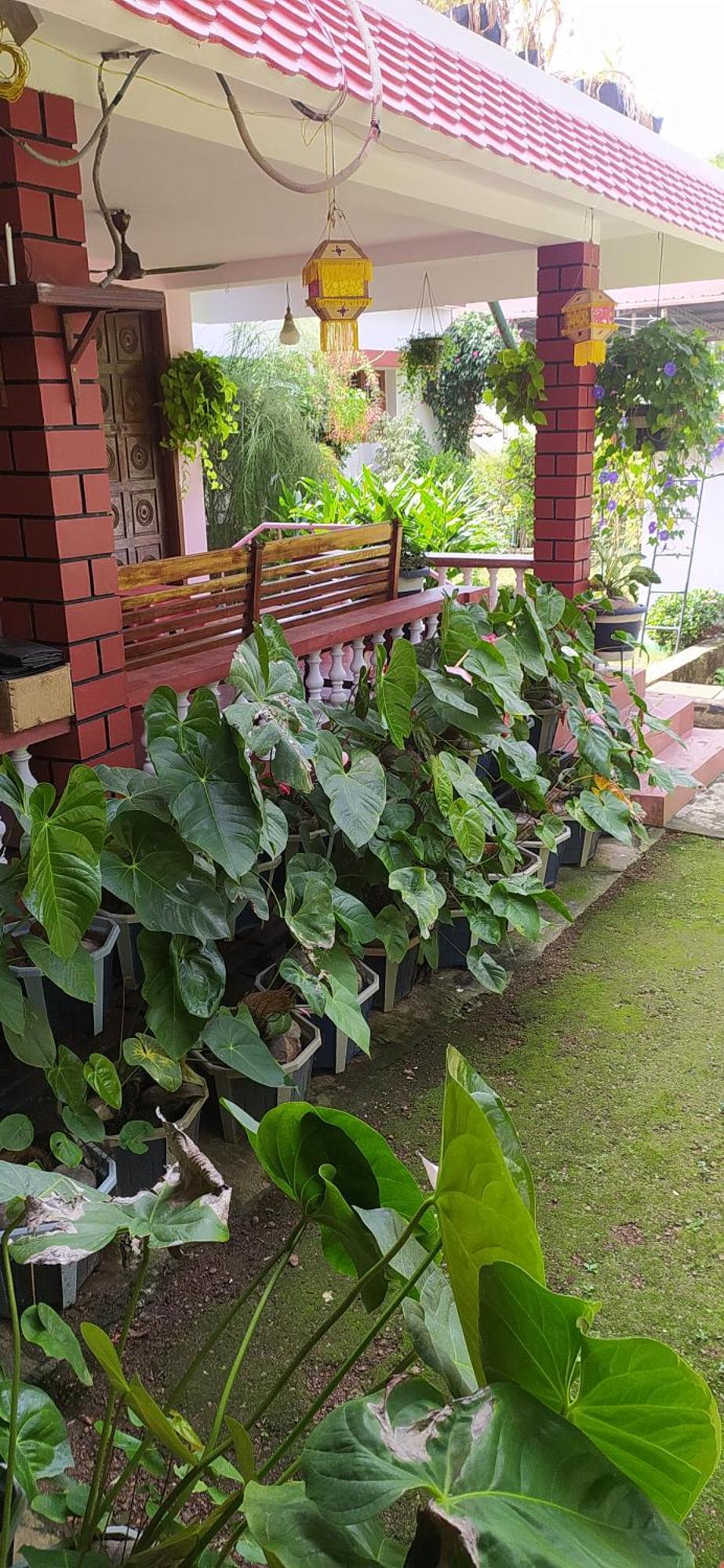 Runnin Airport - Homestay Gurpur المظهر الخارجي الصورة