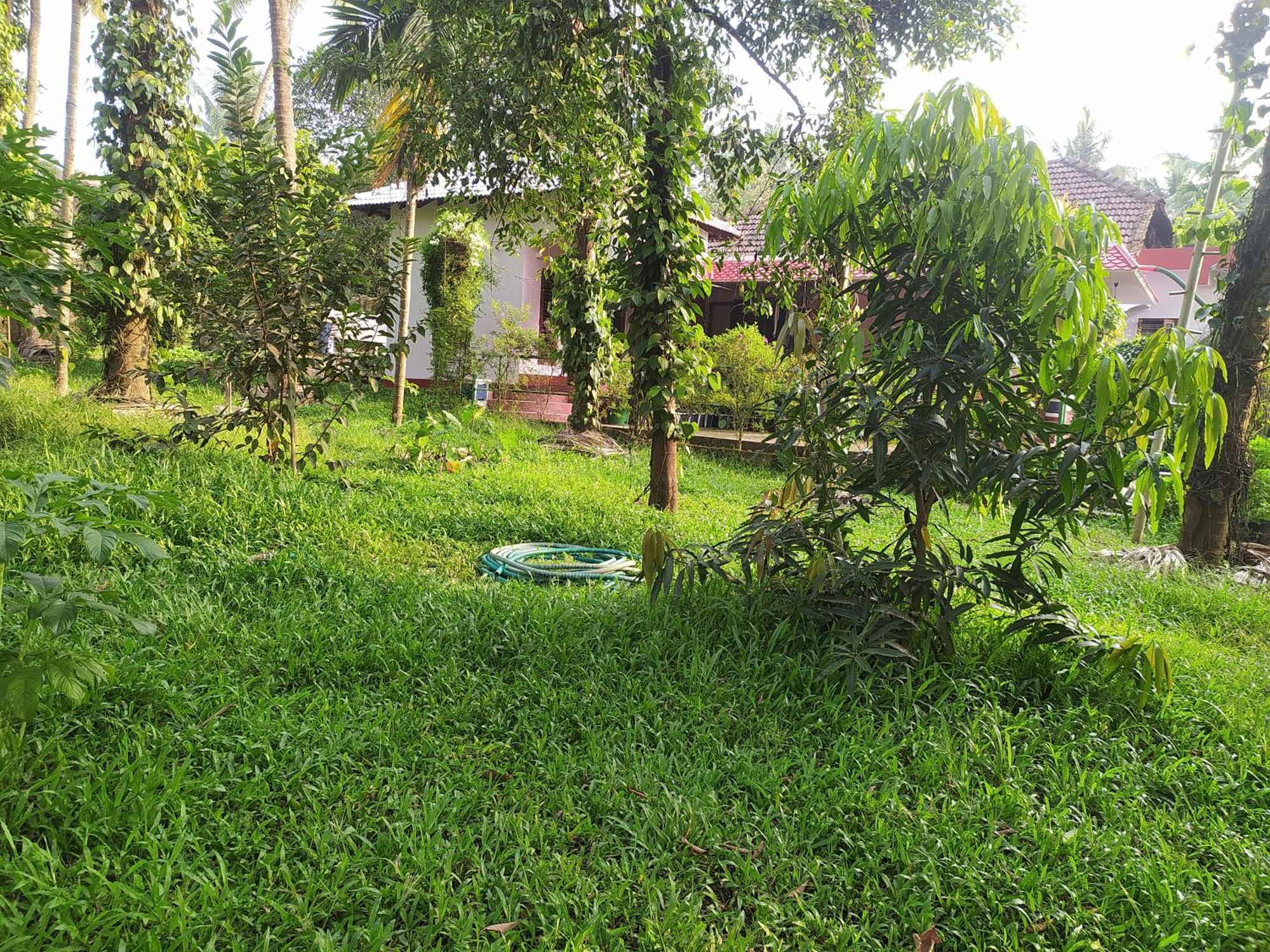 Runnin Airport - Homestay Gurpur المظهر الخارجي الصورة